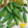 SeedsUP - 40+ Seeds Cucumber Parisian Gherkin - Vegetable Open-Pollinated