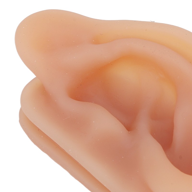 Silicone Ear Model Simulated Ear Model Acupuncture Practice Tool with