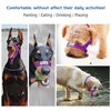 Pawaboo Dog Muzzle, Head Halter Collar for Dog, Pet Dog