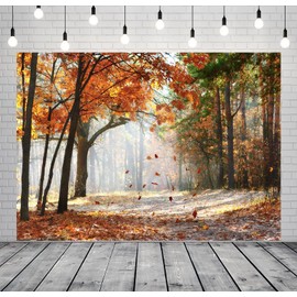 CORFOTO 7x5ft Fabric Autumn Forest Backgrounds Fall Leaves Fall Forest Background Autumn Park Fall Bridal Shower Photography Backdrop Outdoor Travel Family YouTube Photo Props