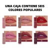 6 Colores De Lápiz Labial Mate De Terciopelo Líquido Mix