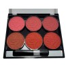 Paleta De Rubor Con Varios Tonos Matte Saniye Rubor