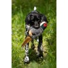 Petface Squeaky Pheasant Plush Dog Toy
