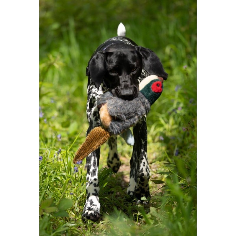 Petface Squeaky Pheasant Plush Dog Toy