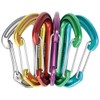 EDELRID Nineteen G Carabiner - 6 Pack Assorted