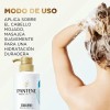 Shampoo Equilibrante Pantene Pro Miracles Equilibrio Raíz Puntas 510