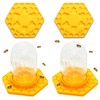 HiveSweet Bee Feeder for 2 pcs Bee Feeder for Mason