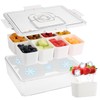 Snackle Box Container with Ice Pack Built In, 8 Compartment