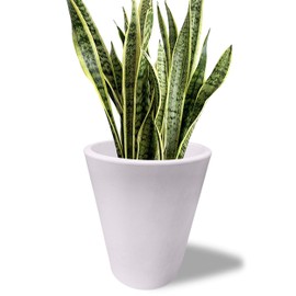 Elly Décor 15 inch Round Wide Modern Garden Planter Pot with Drainage, Lightweight & Extremely Durable| for Patio Deck Indoor Outdoor Flower White, 15" x 13"