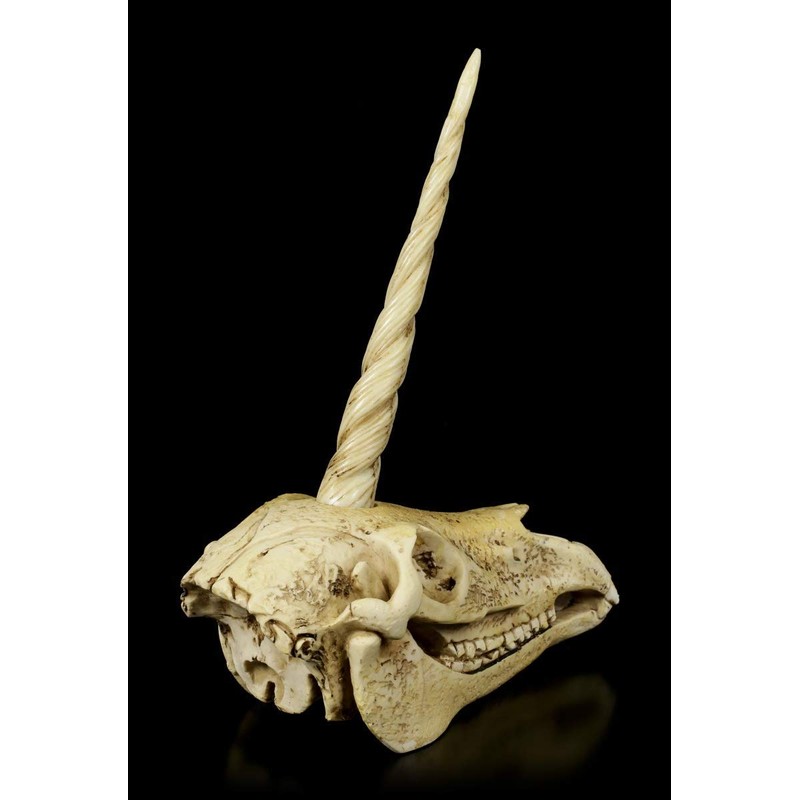 Figuren Shop GmbH Unicorn Fantasy Skull | Gothic Head Sculpture,