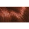 L'Oréal Paris Excellence Creme, 5.6 Rich Auburn (100 Percent Grey
