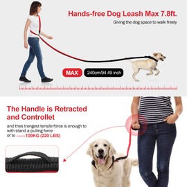 Xipebros Dog Leashes,Hands Free Multifunctional Dog Leashes for Running,Biking Or Hiking|Can Be Used Two Dogs,Adjustable Length(4-7Ft) | Dog Leash with Collar for Small,Medium & Large Dogs