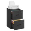 VASAGLE 2 Drawer File Cabinet, File Cabinet with Lock, Printer