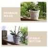 BESPORTBLE 5sets Clear Orchid Pots Flower Planter with Saucers Breathable