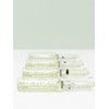 Premium Vita B 12 Calming Cica Ampoule (2ml x 10