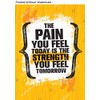 The Pain You Feel Today It The Strength You Feel