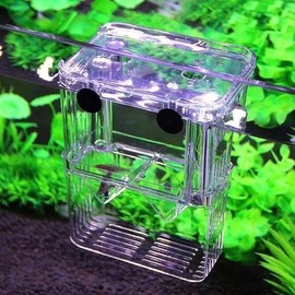 LinaLife Multifunctional Fish Aquarium High Clear Fish Breeding Isolation Box Aquarium Breeder Fishtank Double Guppies Hatching Incubator Divider Agreesive Injured Pregnant Fishes