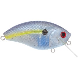 Team Livingston Series Howeller DMC SQ Beauty Shad