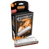 HOHNER GOLDEN MELODY/B Golden Melody 10 Hole Harmonica