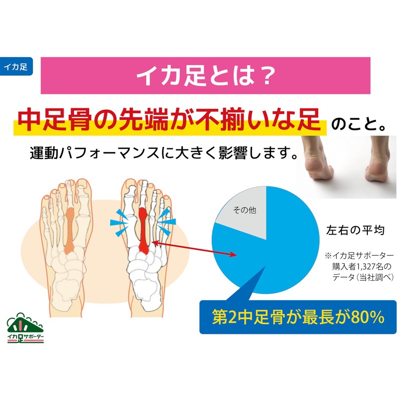 Relubé Squid Leg Supporter, Complete for Ballet and Rhythmic Gymnastics,