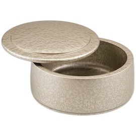 J-kitchens DX Chirashi Sushi Plate, Champagne Gold Aqua, Made in Japan