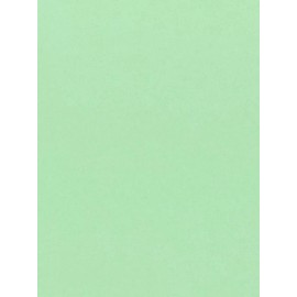 Springhill 100 Sheets - Green Lightweight Cardstock - 67#  8.5 x 11