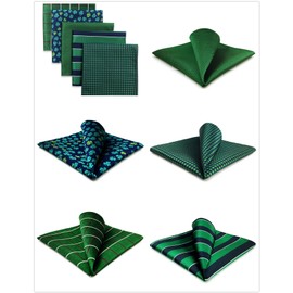 Shlax&Wing 5 Pieces Assorted Mens Pocket Square Handkerchiefs Set (Set54)