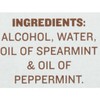 McCormick Pure Mint Extract, 1 fl oz