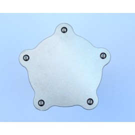 Flat Center Caps for Torq Thrust Wheels, 1-Pair, Low Profile Natural Aluminum, 2-1/4" Spacing, American Racing Post-1980, Trans-Am Style