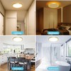 libtit 12 Inch Gold LED Ceiling Light with Night Light
