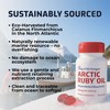 Arctic Ruby Oil 1000mg Omega 3 Supplement with EPA DHA