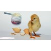 Healthy Pet Bundle: Eggshell Membrane Joint Support & Plaque Control