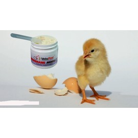 Healthy Pet Bundle: Eggshell Membrane Joint Support & Plaque Control Spray Combo