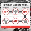 Creatine Gummies 5000mg – Strawberry Flavour Chewables – Muscle Growth,