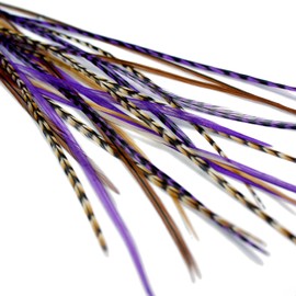 Real Feather Hair Extensions - Auburn Purple (5 Feathers)