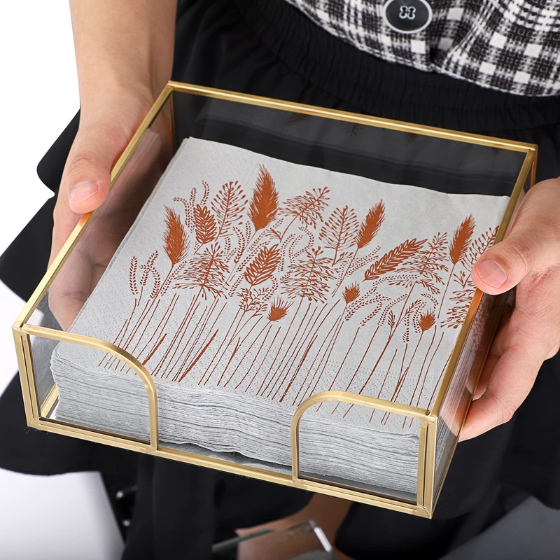 TOLIDA Square Glass Napkin Holder - Metal Glass Napkin Holder