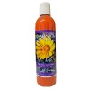 Arnica Ointment GEL aches sprains Pomada Arnica 8oz ACHE BRUISE
