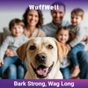 WuffWell Calming Chews for Dogs Relaxation & Hyperactivity – Chamomile,