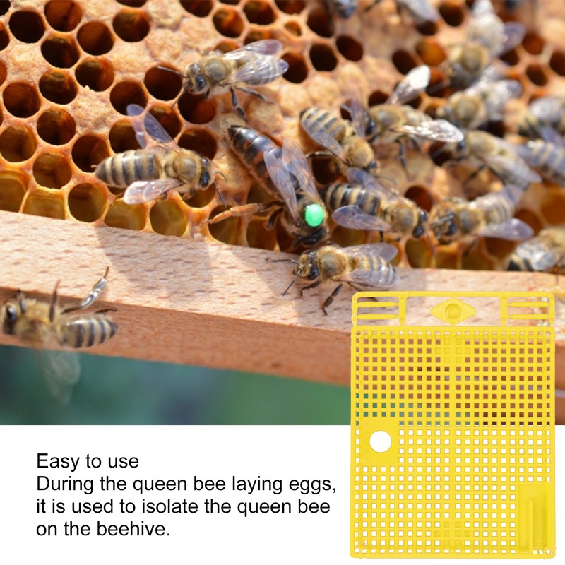 5Pcs Reusable Queen Bee Isolator Portable Queen Introducing Cage Beekeeping