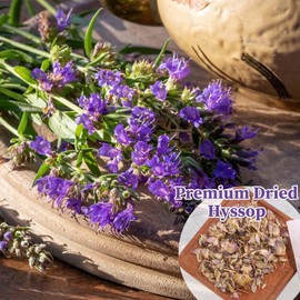 FullChea - Hyssop Tea Bags, 30 Teabags, 1.5g/bag - Premium Hyssop - Non-GMO - Caffeine-free - Support Digestion & Promote Relaxation