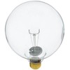 Bulbrite Incandescent G40 Medium Screw Base (E26) Light Bulb, 150 Watt, Clear