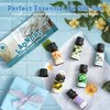 SNOWSEN LDY-1 Essential Oil Set