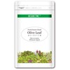 ECLECTIC Olive Brief Eco Pack 45 400mg x 45 Capsules