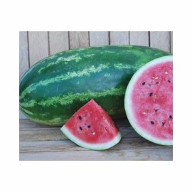 Southeast Seeds All Sweet Watermelon Seeds, Citrullus Lanatus, NON-GMO, Heirloom, FREE SHIPPING - 100 Seeds or 1/8 OZ