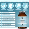 Creapure Creatine Monohydrate by Qidosha 240 Pieces in Pharmacist Glass,