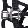 Big Dog Styles Head Collar. Made in UK for Large
