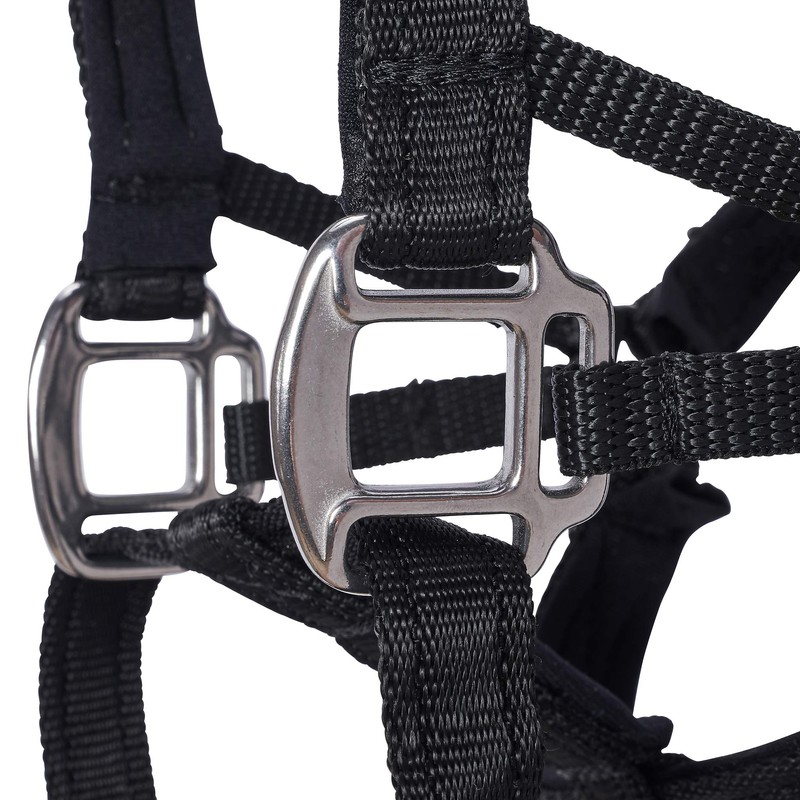 Big Dog Styles Head Collar. Made in UK for Large