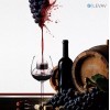 LEVAV Sommelier Aerating Decanter Glass Goblet On Stem - Unique