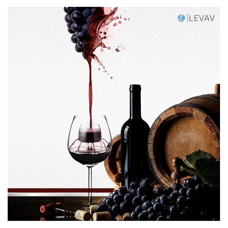 LEVAV Sommelier Aerating Decanter Glass Goblet On Stem - Unique