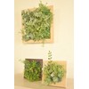 Kishima KH-61034 KH-61034 Prairie Deodorizing Artificial Green, Natural